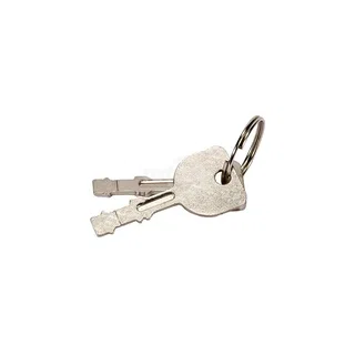 SWITCH KEYS MULTI APPLICATION 9667