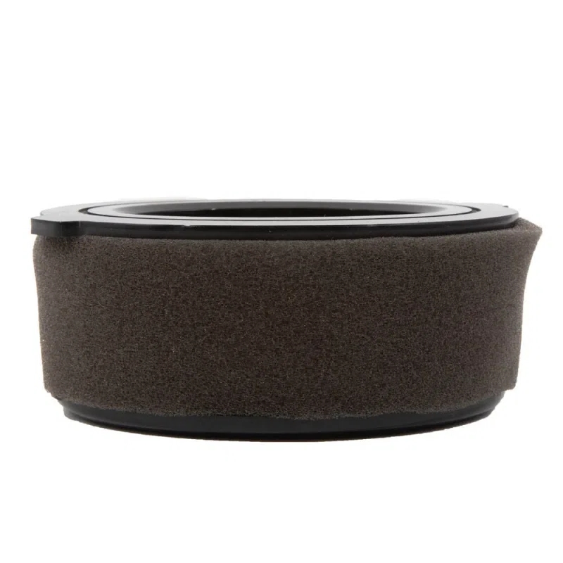 MTD 951-10794 Genuine OEM Air Filter Kit