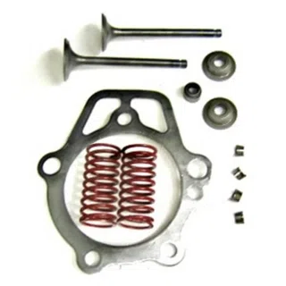 Generac 0D24890ESV Genuine OEM Retainer Valve Kit GN 220