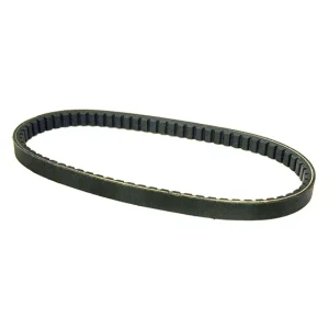 Rotary # 16569 BELT DRIVE 3/8" X 31" SIMPLICITY