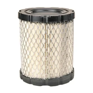 Replacement Air Filter for Briggs & Stratton 798897 on Gravely, Ferris | M93381
