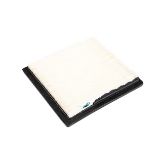 Tecumseh TC-37360 Air Cleaner Filter