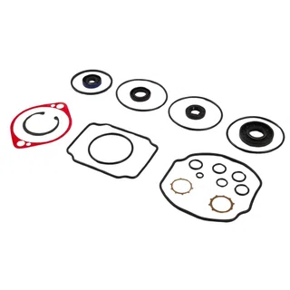 70525 Hydro-Gear Overhaul Seal Kit Compatible with Toro & Exmark #105-6184