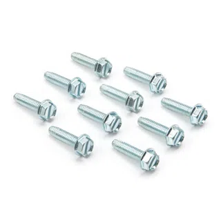 Oregon 02-304 Self Tapping Bolt for AYP replaces 173984 157722