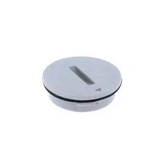Ryobi 350061002 OEM End Cap Assembly