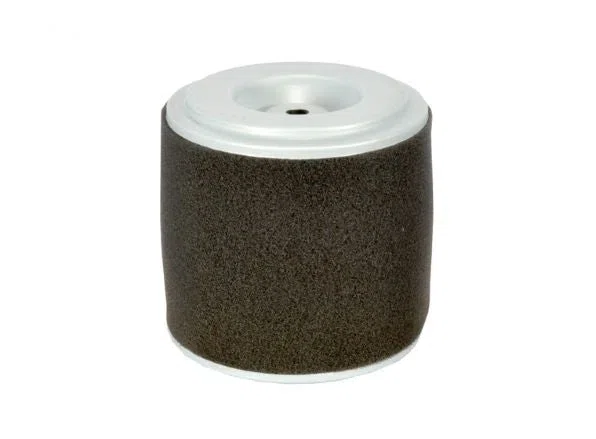 Replacement Air Filter for Honda GX160 and GX200, 17210-Z0V-781 | H11985