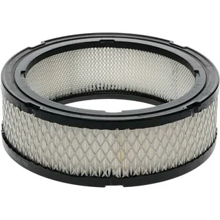 Air filter replaces Briggs & Stratton 392642, 394018S, 4135 and more | BS77