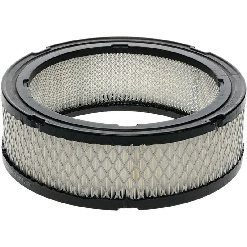 Air filter replaces Briggs & Stratton 392642, 394018S, 4135 and more | BS77