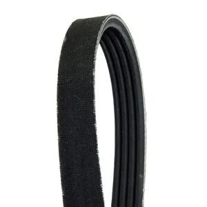 Walker 7248 Drive Belt Replacement | WA7248