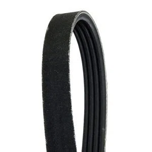 Walker 7248 Drive Belt Replacement | WA7248