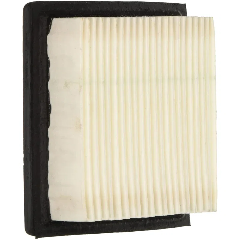 Tecumseh 36046 Genuine OEM Air Filter
