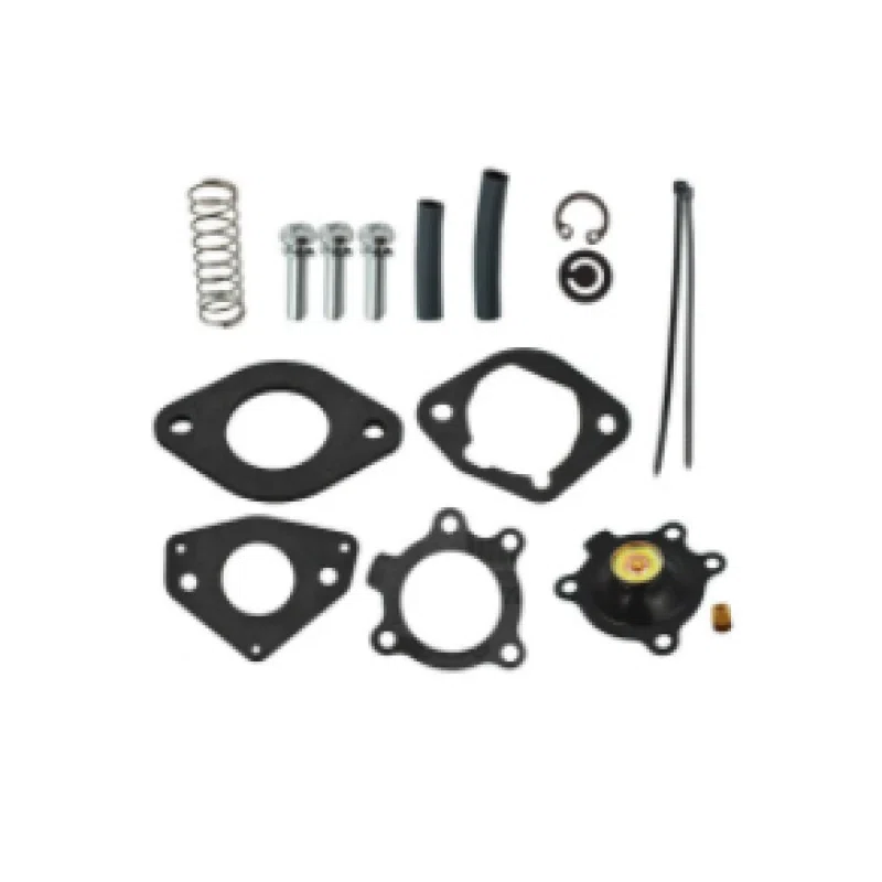 Kohler Part Number 24 757 21-S Genuine OEM ACC Pump with Gaskets